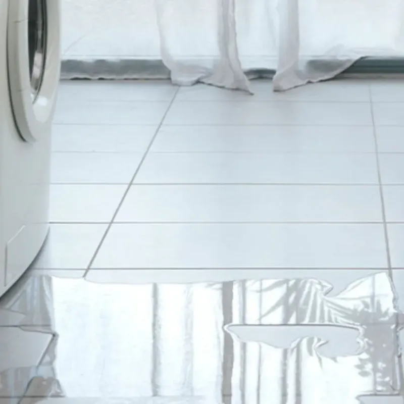 Appliance Leak Cleanup in Gregg County, TX