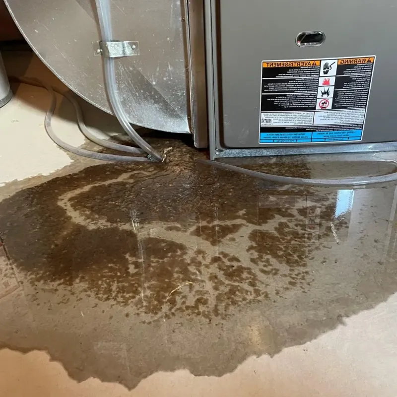 Pipe Burst and Leak Restoration in Gregg County, TX