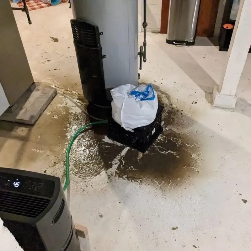 Sewage Backup Cleanup Service in Gregg County, TX